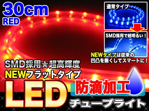 �`���[�u���C�g ���P�xSMD LED�V���R���o�[�`���[�u���C�g 30��30cm ���b�h/�� �y���������z/###LED���f��CBT30��###