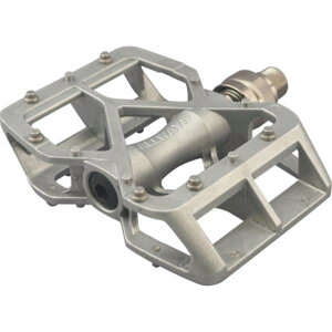 MKS O I[EFCY ALLWAYS EZY X[yA Vo[ y_