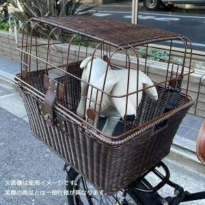 NOGUCHI mO`  ybgp AoXPbg 납 [hŒt