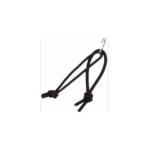 OSTRICH I[Xgb` `F[nK[