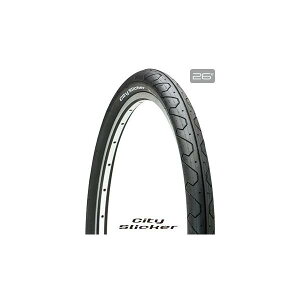 TIOGA ^CIK XbN^C VeB[XbJ[ MTB NXoCN 26×1.25 TIR17601