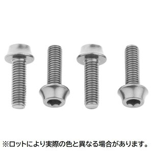 WOLF TOOTH EtgD[X Water Bottle Cage Bolts Silver EH[^[{gP[W {g Vo[