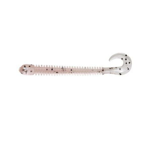 CORMORAN R[ ro T^[R 3C` _XeBT[ybp[yoXz