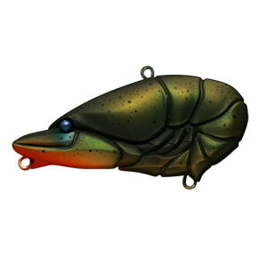 ISSEI ꐽ CbZC GCUoCu Jr 57 E`_UKj yoXz