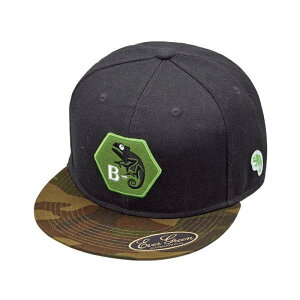 EVERGREEN evergreen Go[O[ B-TRUE tbgLbv ^CvC t[ O[J×BK