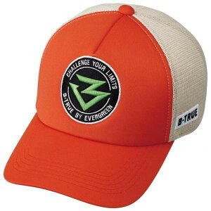 EVERGREEN evergreen Go[O[ B-TRUE T[NSLbv t[ IW×x[W