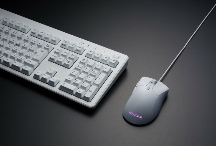 楽天市場】【公式】 REALFORCE RM1 マウス 静音 ダークグレー スーパー 