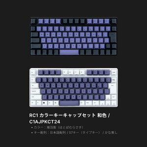 �y�����z REALFORCE RC1 �L�[�{�[�h �Ή� �L�[�L���b�v �Z�b�g ������ �K�� �D�� ���H�� ���� ���{��z�� �p��z�� ���ȃ��X ���؈�� PBT ���A���t�H�[�X ���v��