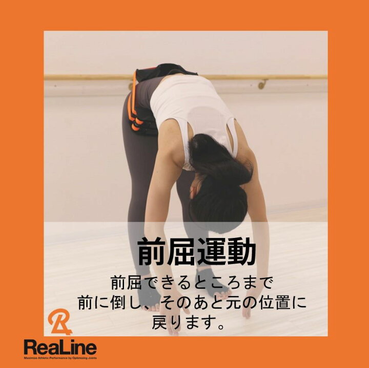 楽天市場】リアライン・コアSIセット （胸郭ユニット、SIユニット 