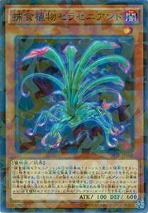 �V�Y�� SPFE-JP001 �ߐH�A���Z���Z�j�A���g(���{��� �m�[�}���p������) �u�[�X�^�[SP�t���[�W�����E�G���t�H�[�T�[�Y