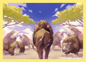 Aj}J[hQ[ BP1 [TX[uF10] u[X^[pbN 푮푈