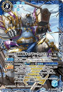 ogXsbc BSC38/BS43-X06 C͑LveEEHX (XA) XApbN2021