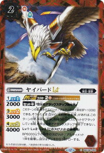 ySECRETzogXsbc BSC48-002 Co[hLT (C R) Aju[X^[ o[jOKV[