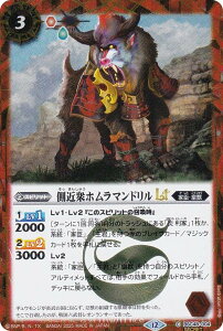 ySECRETzogXsbc BSC48-004 ߏOz}hLT (C R) Aju[X^[ o[jOKV[