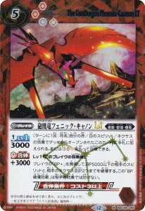 ySECRETzogXsbc BSC49-055 CtFjbNELmLT (M }X^[A) h[u[X^[ 鐯X