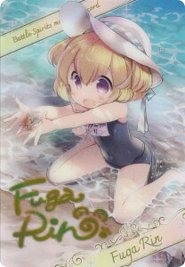 �o�g���X�s���b�c BSC51/D07-28 [�t�[�K�E����/�u���}�C�h�����^���b�N�J�[�h] �f�B�[�o�u�[�X�^�[ �������A�����R�[�h BOX�w�����T