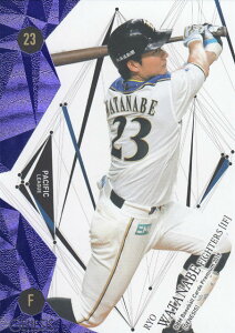 yp[v 10/25zBBM 2019 GENESIS 023 n糁@ kC{nt@C^[Y (M[J[h) x[X{[J[hv~A WFlVX