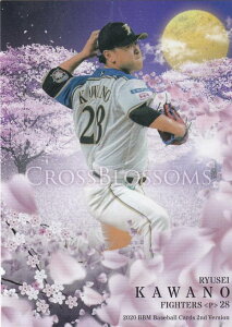 BBM 2020 CB49 ͖엳 kC{nt@C^[Y (M[J[h/CROSS BLOSSOMS) x[X{[J[h 2ndo[W