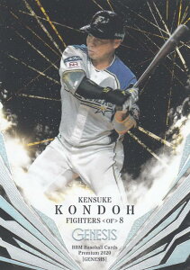 yz 13/50zBBM 2020 045 ߓ kC{nt@C^[Y (M[J[h) v~A GENESIS