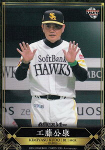 BBM 2020 251 HN \tgoNz[NX (M[J[h/qXg[) 30th Anniversary