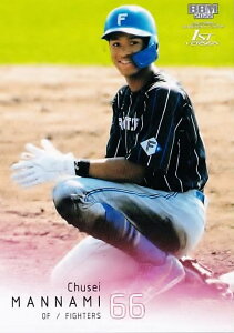 yʐ^ႢzBBM x[X{[J[h 288 g kC{nt@C^[Y (M[J[h) 2022 1sto[W