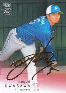 yTC 036/100zBBM x[X{[J[h 273 򒼔V kC{nt@C^[Y (M[J[h) 2022 1sto[W