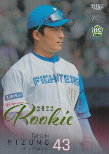 y[L[p⎆{LECO[ 06/50zBBM x[X{[J[h 291 BH kC{nt@C^[Y (M[J[h) 2022 1sto[W