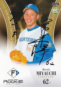 y┓TC 009/100zBBM x[X{[J[h 065 {tP kC{nt@C^[Y (M[J[h) 2023 [L[GfBV