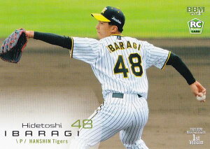 BBM x[X{[J[h 241 ؏Gr(ROOKIE) _^CK[X (M[J[h) 2023 1sto[W