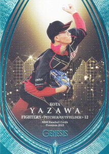 yCgu[ 070/100zBBM x[X{[J[h 046 VGR tbe}[Y (M[J[h) v~A2023 GENESIS