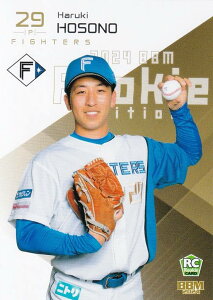 yʐ^ႢzBBM x[X{[J[h 114 ז쐰 kC{nt@C^[Y (M[J[h) 2024 [L[GfBV