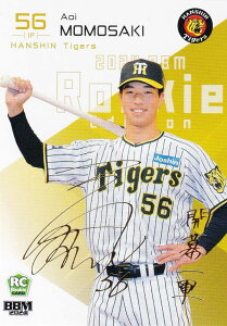 yTC 74/75zBBM x[X{[J[h 004 S葓 _^CK[X (M[J[h) 2024 [L[GfBV