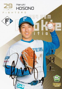 yTC 33/75zBBM x[X{[J[h 114 ז쐰 kC{nt@C^[Y (M[J[h) 2024 [L[GfBV