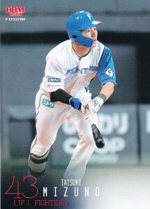 BBM x[X{[J[h 619 BH kC{nt@C^[Y (M[J[h/1sto[WUPDATE) 2024 FUSION