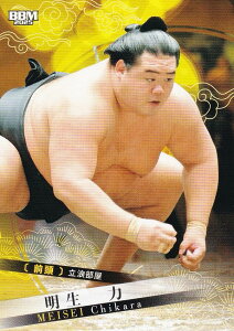 BBM 2025 告oJ[h 30   O (M[J[h)