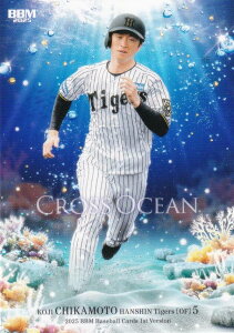 BBM x[X{[J[h CO06 ߖ{i _^CK[X (M[J[h/CROSS OCEAN) 2025 1sto[W