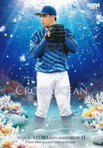 BBM x[X{[J[h CO07  lDeNAxCX^[Y (M[J[h/CROSS OCEAN) 2025 1sto[W