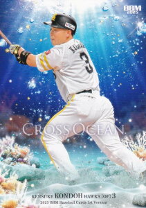 BBM x[X{[J[h CO21 ߓ \tgoNz[NX (M[J[h/CROSS OCEAN) 2025 1sto[W