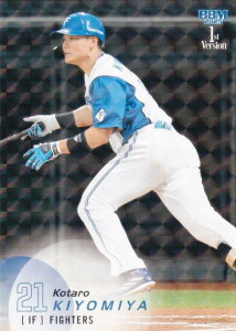 yLJ[hpzBBM x[X{[J[h 205 {KY kC{nt@C^[Y (M[J[h) 2025 1sto[W