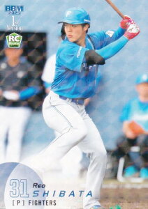 yLJ[hpzBBM x[X{[J[h 211 ēcq(ROOKIE) kC{nt@C^[Y (M[J[h) 2025 1sto[W