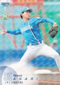 yLJ[hpzBBM x[X{[J[h 213 󗘑(ROOKIE) kC{nt@C^[Y (M[J[h) 2025 1sto[W