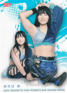 BBM qvXJ[h 007 Ξx (M[J[h/I) 2025