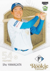 BBM x[X{[J[h 077 RpG kC{nt@C^[Y (M[J[h) 2025 [L[GfBV