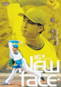 BBM x[X{[J[h 131 BF kC{nt@C^[Y (M[J[h/NEW FACE) 2025 [L[GfBV