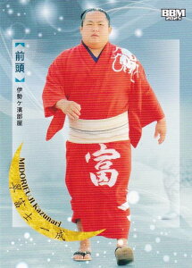 BBM 2025 告oJ[h 28 xm ꐬ O (M[J[h) uav-NAGOMI-