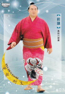 BBM 2025 告oJ[h 34 d  O (M[J[h) uav-NAGOMI-