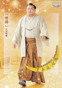 yLJ[hŁzBBM 2025 告oJ[h 01 L q j (M[J[h) uav-NAGOMI-