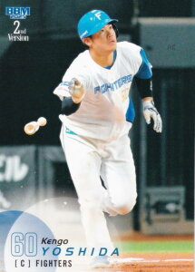 BBM x[X{[J[h 360 gc kC{nt@C^[Y (M[J[h) 2025 2ndo[W