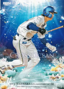 BBM x[X{[J[h CO45 V lDeNAxCX^[Y (M[J[h/CROSS OCEAN) 2025 2ndo[W