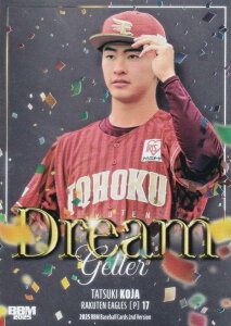 BBM x[X{[J[h DG10 Îӎ kyVS[fC[OX (CT[gJ[h/DREAM GETTER) 2025 2ndo[W